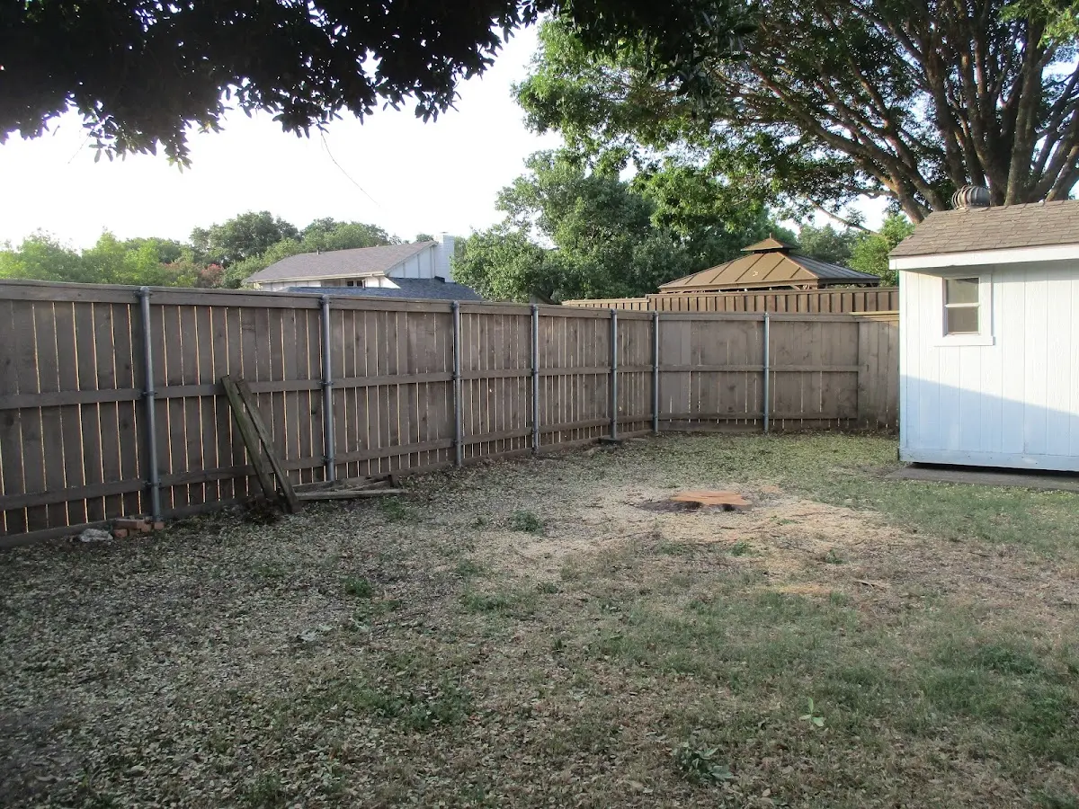 Cleared yard after professional tree removal in Crockett